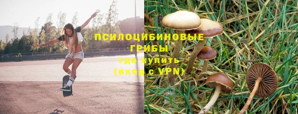 ешки Красноперекопск