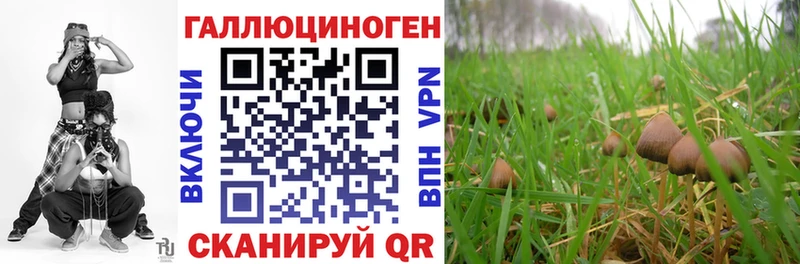 Купить  Таруса  Галлюциногенные грибы прущие грибы 